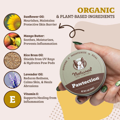 Pawtection Balm for Dogs – Winter Paw Protection from Snow, Ice & Salt, Wax-Based Paw Barrier Balm, All Breeds for Cold Weather Walks & Outdoor Adventures, Lick-Safe, 1 Oz Tin